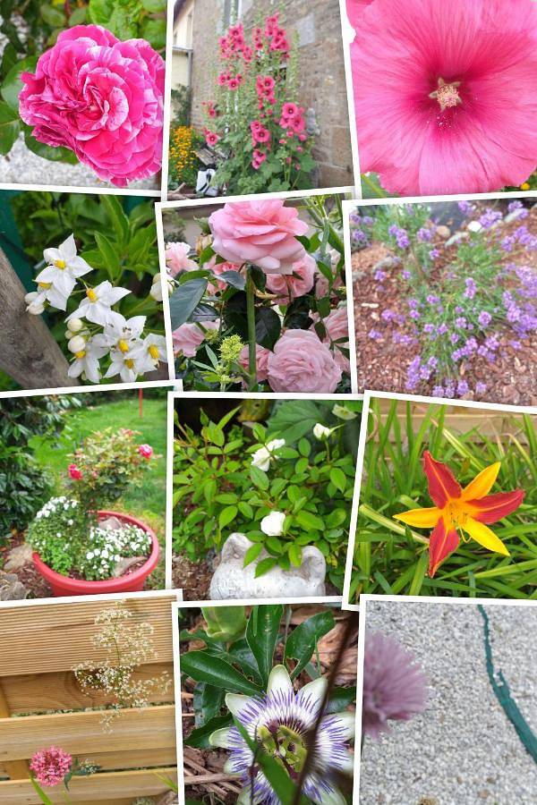 Gîte pour 4 personnes, avec vue et jardin à Saint-Maur-des-Bois - 4