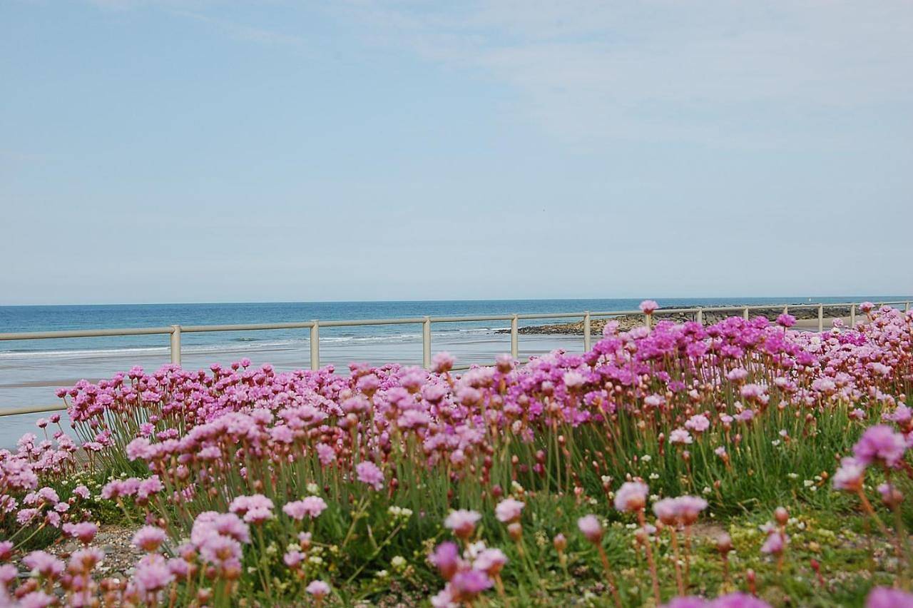 Entire apartment, Salt Marsh Apartment in Tywyn, Snowdonia