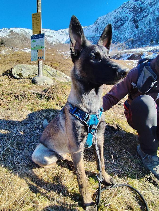 Gîte pour 2 personnes, avec jardin ainsi que vue et balcon à Aigueblanche - 2