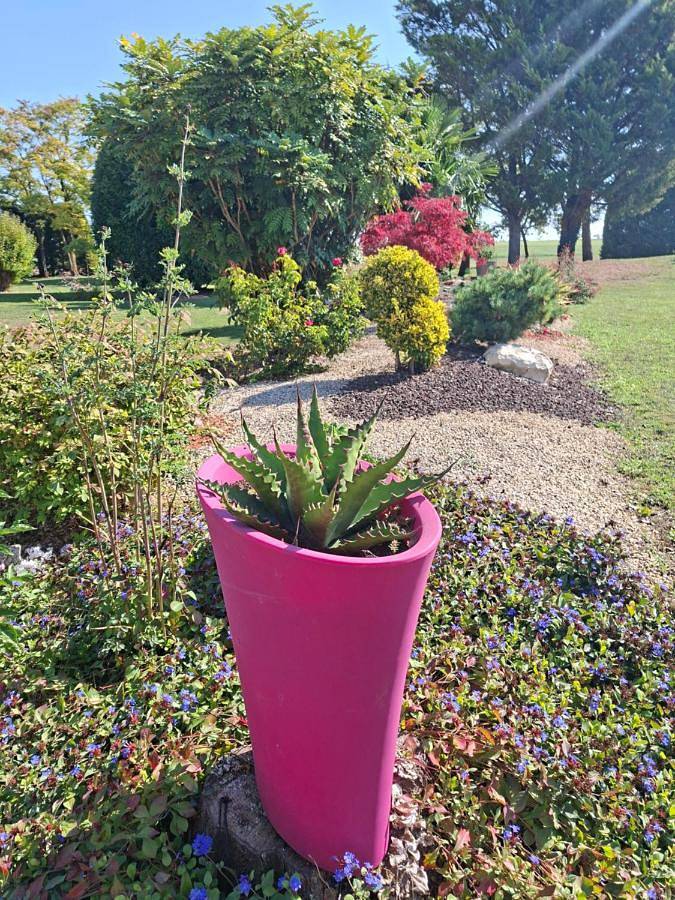 Gîte pour 3 personnes, avec vue ainsi que piscine et jardin à Neuville-de-Poitou - 3
