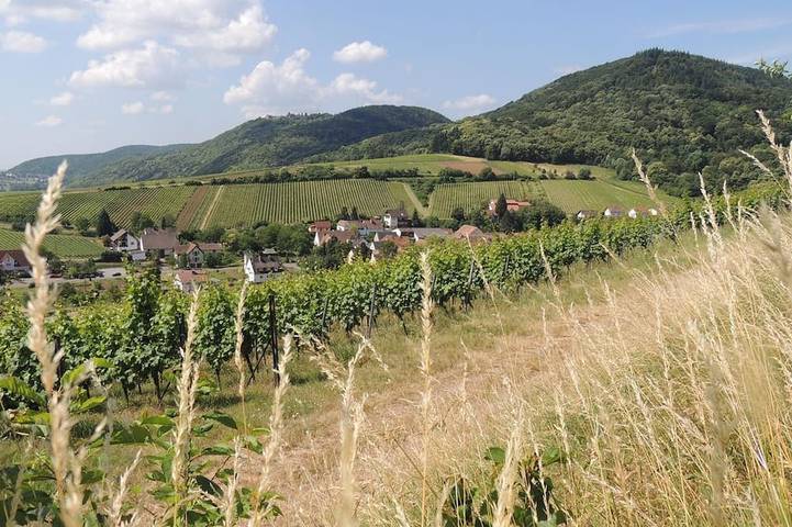 Ferienwohnung für 3 Personen, mit Sauna und Garten in Leinsweiler - 3