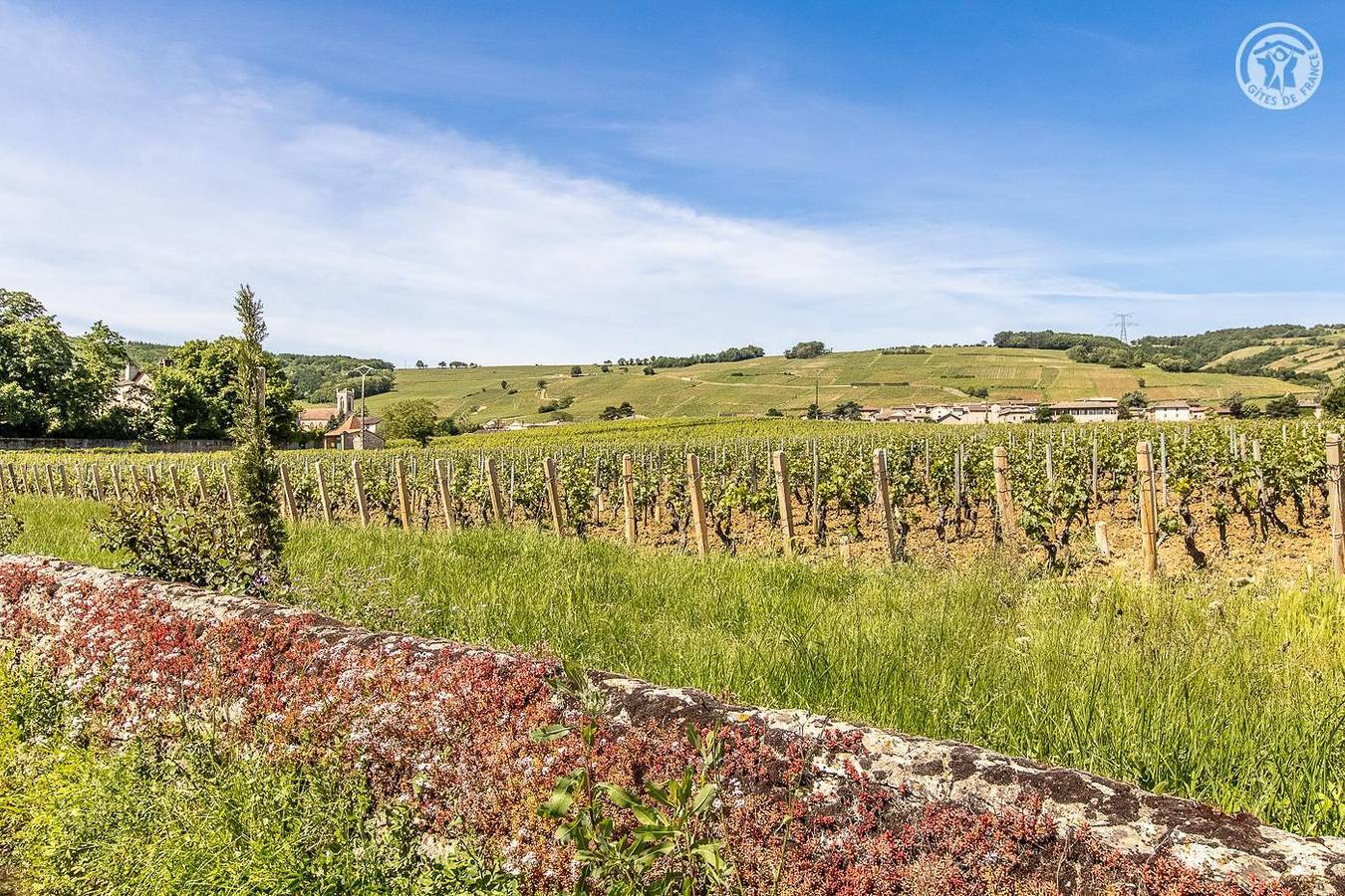 La Vigneraie in Fuissé, Région de Mâcon