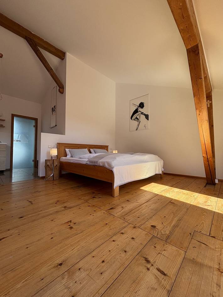 Ganze Ferienwohnung, Ferienwohnung Bergblick - Apartment Bergblick im Dachgeschoss für 2 Personen in Bad Aibling, Landkreis Rosenheim