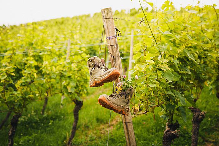 Hôtel pour 2 personnes, avec piscine et jacuzzi ainsi que sauna et terrasse, adapté aux familles à Durbach - 2