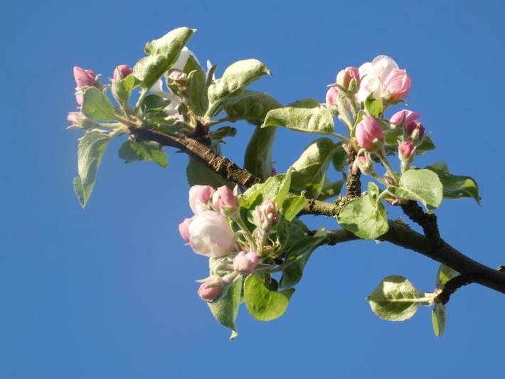 Location de vacances pour 5 personnes, avec jardin et vue, adapté aux familles à Sainte-Marguerite-de-Viette - 3