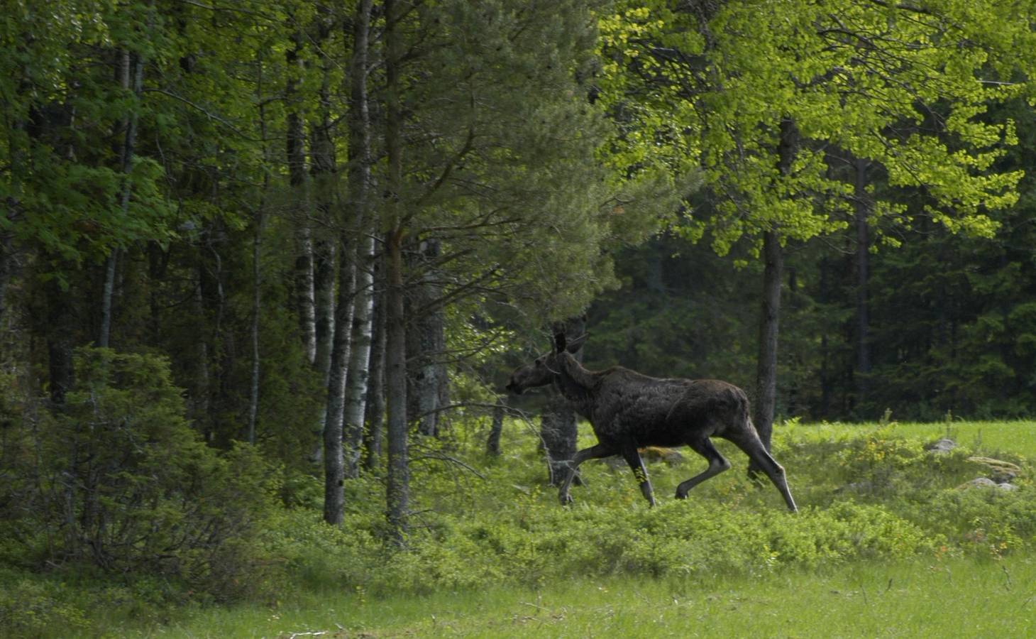 Hus för 8 Personer med trädgård in EDA