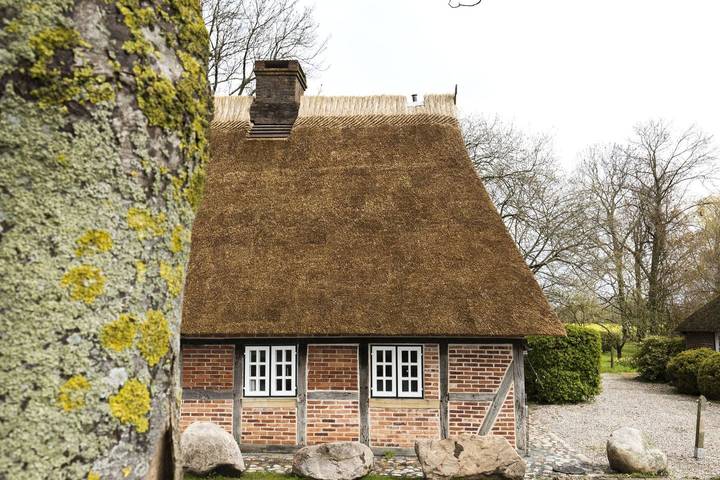 Ferienhaus für 4 Personen, mit Garten und Ausblick, mit Haustier in Damp - 2