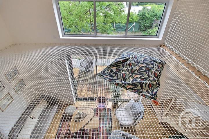 Gîte pour 6 personnes, avec jardin et terrasse, animaux acceptés dans Plage de la Ville Berneuf - 3