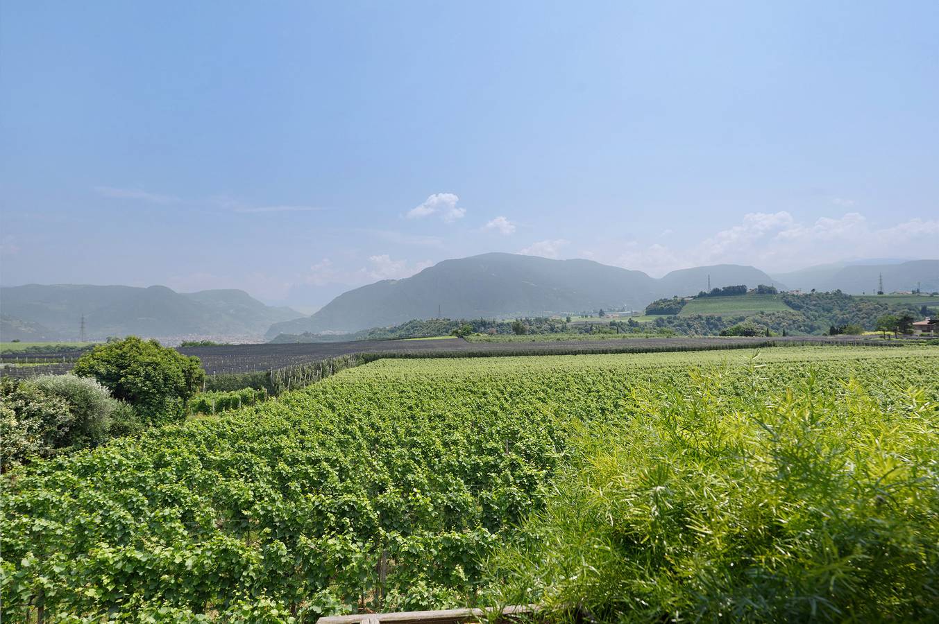 Appartamento intero, Appartamento 'Gala' con vista sulle montagne, terrazza condivisa e Wi-Fi in San Paolo, Appiano