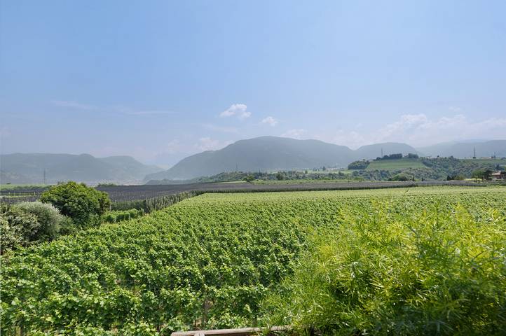 Ferienwohnung für 5 Personen, mit Garten in Eppan an der Weinstraße - 3