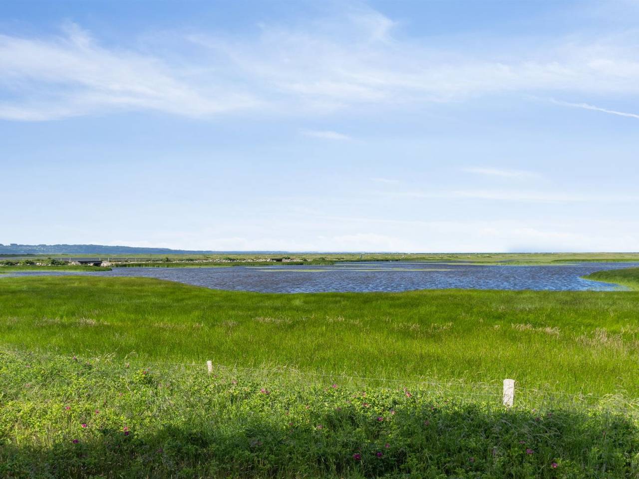 "Felis" - 575m from the sea in Gudmindrup Lyng, Højby