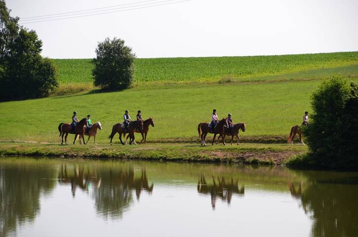 Ferienhaus für 3 Personen, mit Pool und Garten sowie Sauna in Naturpark Oberpfälzer Wald - 4
