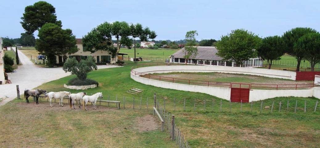 Location de vacances pour 2 personnes, avec jardin ainsi que terrasse et vue à Vauvert - 3