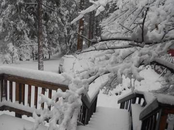 Log Cabin for 5 Guests in Sequoia National Park, Tulare County, Picture 1
