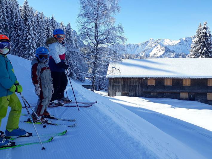 Bauernhof Bertsch - Ferienwohnung Bergahorn in Bregenzerwald (Vorarlberg), Mellau