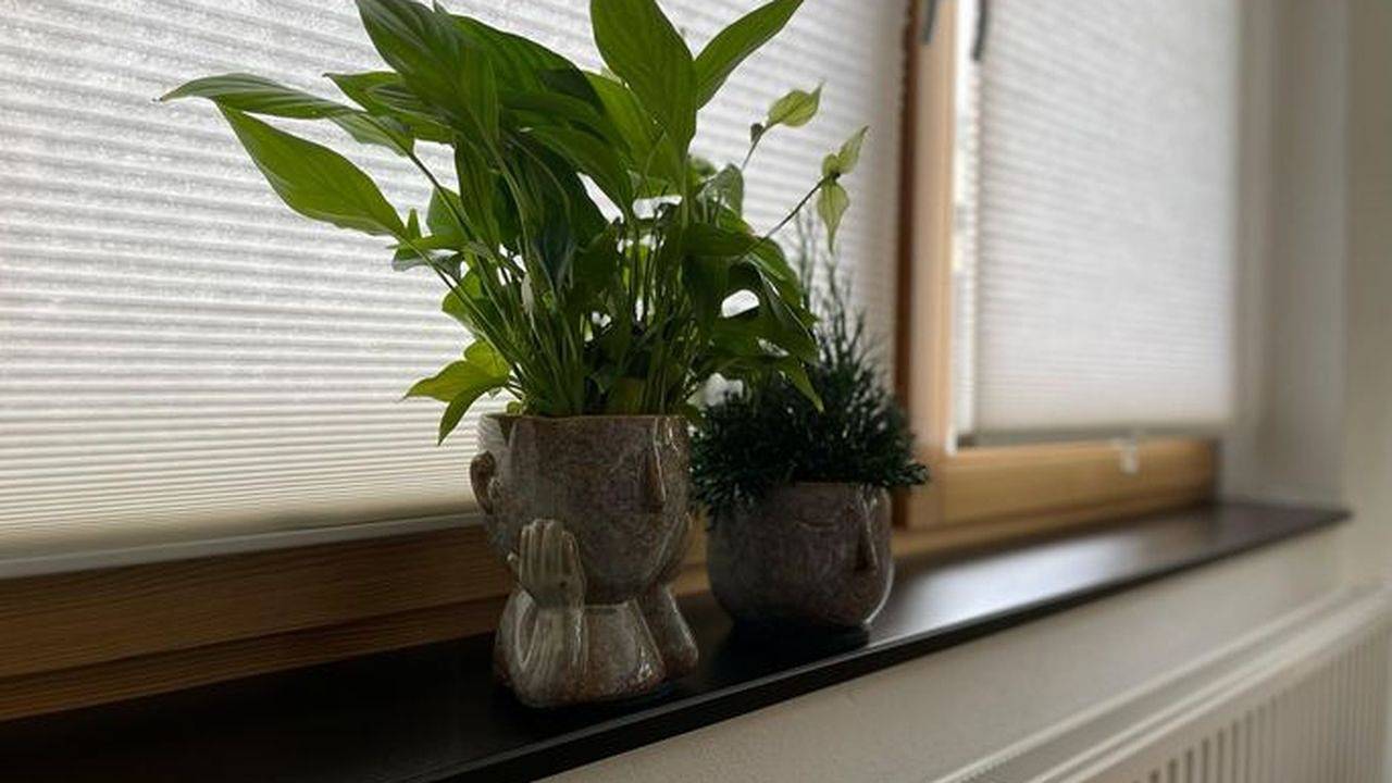 Ferienhaus für 6 Personen (108 m²) in Plauen in Plauen, Chemnitz (region)