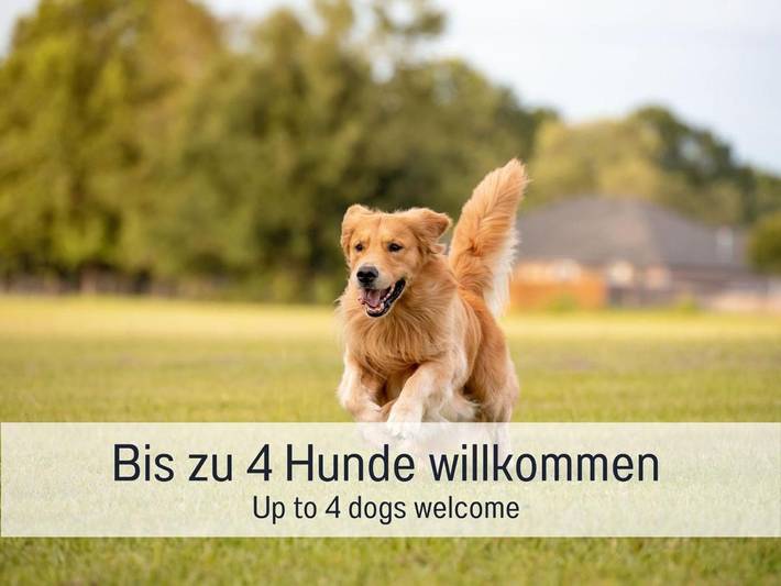 Ferienhaus für 8 Personen, mit Garten und Sauna, mit Haustier in Loßburg - 4