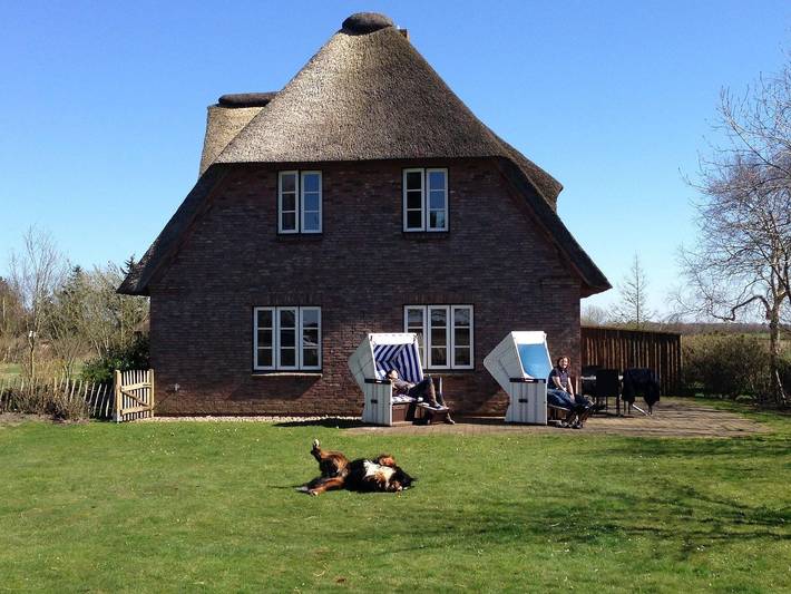 Ferienhaus für 6 Personen, mit Terrasse und Garten in Utersum - 3