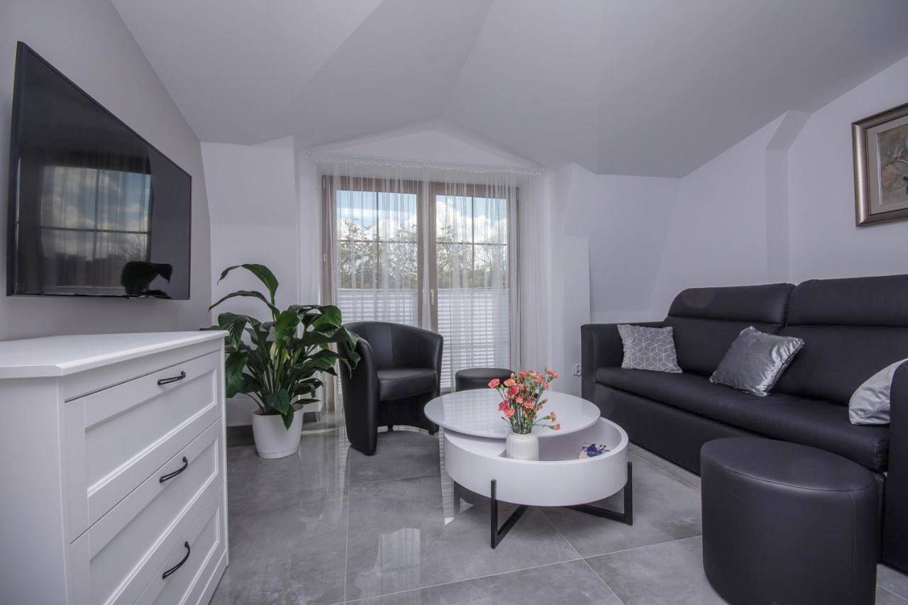 Cały apartament, Apartamenty Ap 17 in Częstochowa, Śląsk
