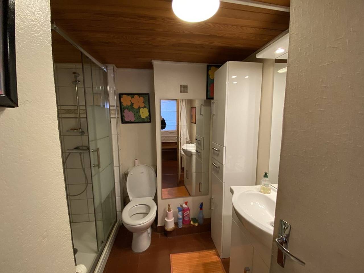 Entire apartment, Cozy Duplex Apt for 5 near Shops & Ski Slopes, 2 Balconies, Secure Parking in Cohennoz, Albertville region