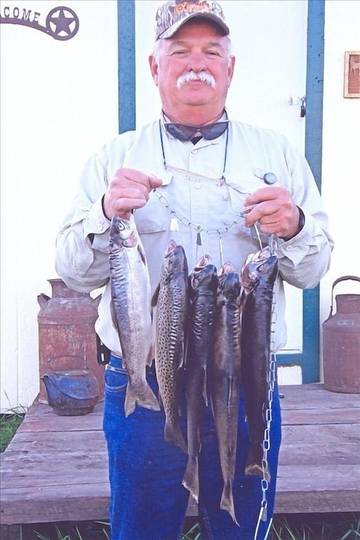 Vacation House for 6 Guests in Montana, USA, Picture 1