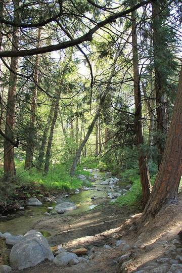Log Cabin for 10 Guests in Idyllwild, Riverside County, Picture 3