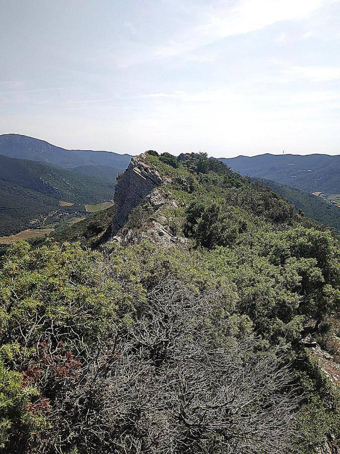 Chambre d’hôte pour 2 personnes, avec jacuzzi et jardin, adapté aux familles dans Parc naturel régional Corbières-Fenouillèdes - 3