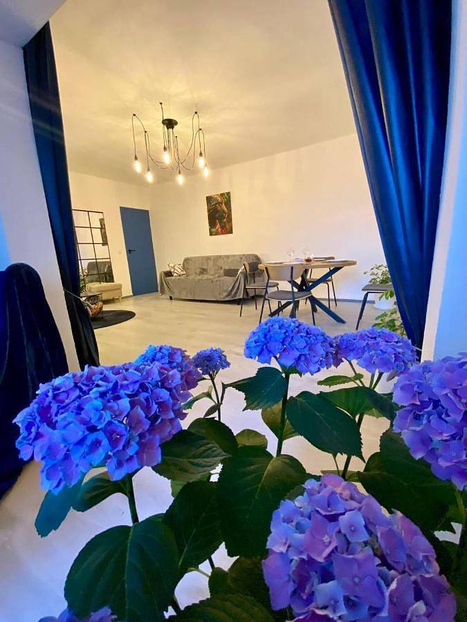 Ferienwohnung für 2 Personen, mit Terrasse an der Costa del Azahar - 3