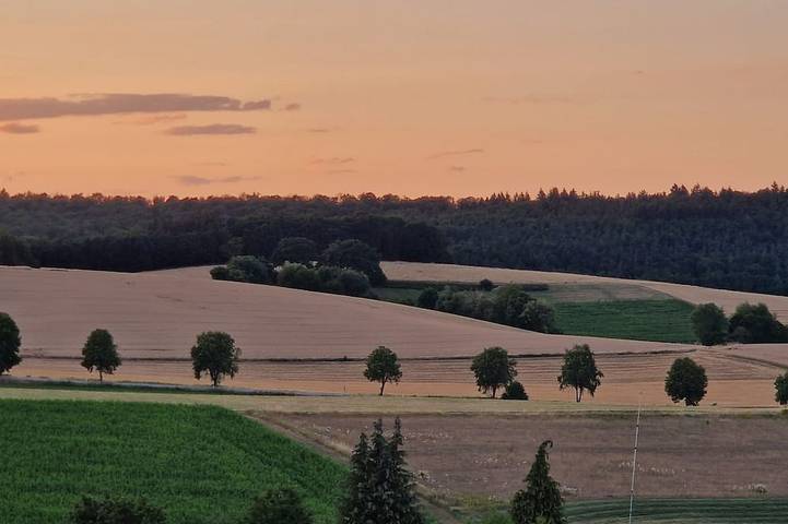 Ferienwohnung für 6 Personen, mit Garten und Terrasse in Fischbachtal