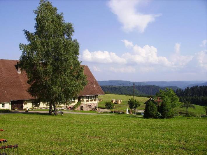 Ganze Wohnung, Ferienwohnung Äckerbartle, 55qm" mit Gemeinschaftsgarten, Balkon und Wlan in Wolfach, Wolftal Region