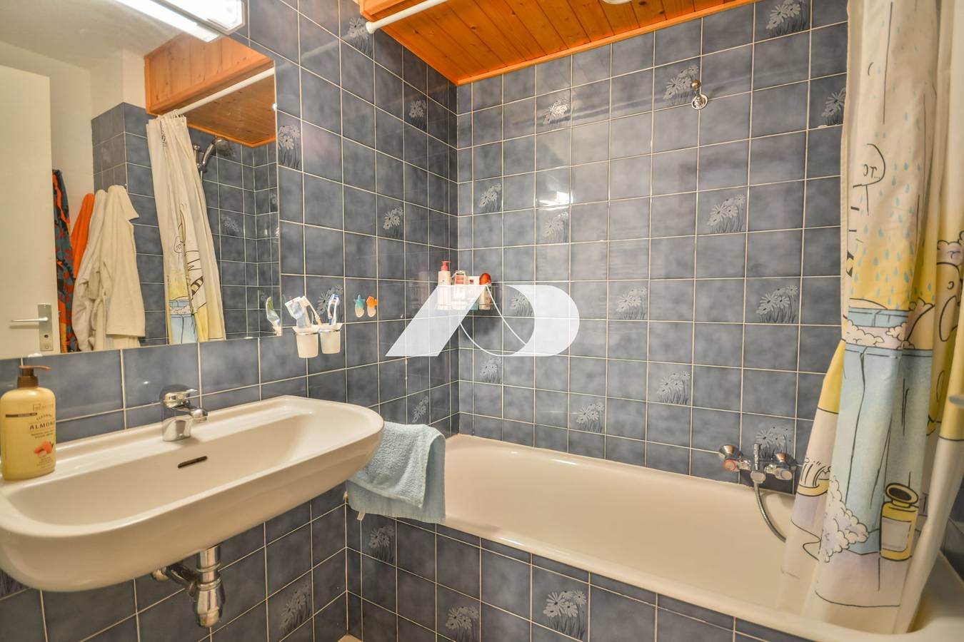 Entire apartment, Enchaple A5 - Saint Jean D'Aulps Station - 6 personnes in Saint-Jean-d'Aulps, Les Portes du Soleil