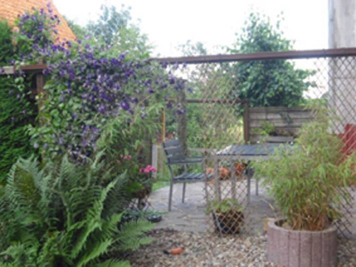 Ferienhaus für 18 Personen, mit Terrasse und Garten, mit Haustier im Teutoburger Wald - 2