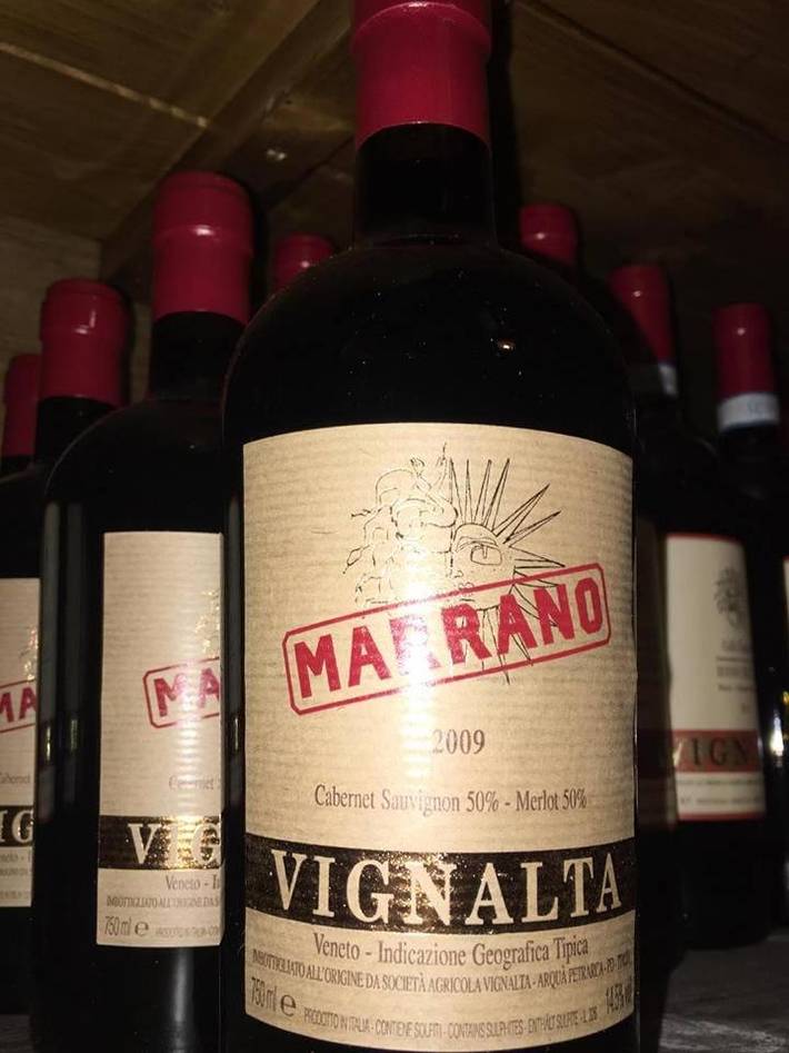 Location de vacances pour 2 personnes, avec vue ainsi que jardin et terrasse à Cinto Euganeo - 3