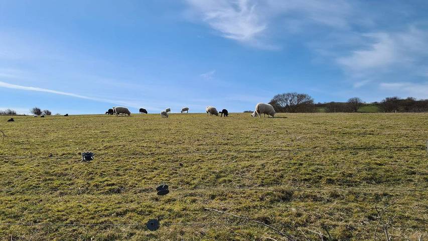Ferienhaus für 5 Personen, mit Terrasse in Fyns Hoved - 3