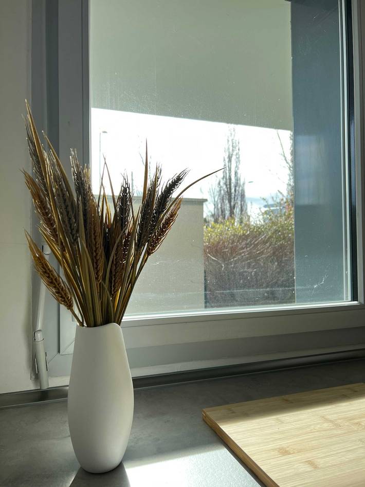 Apartamento entero, Le Quinze Sols | T3 Terrasse - Blagnac, Toulouse in Blagnac, Toulouse region