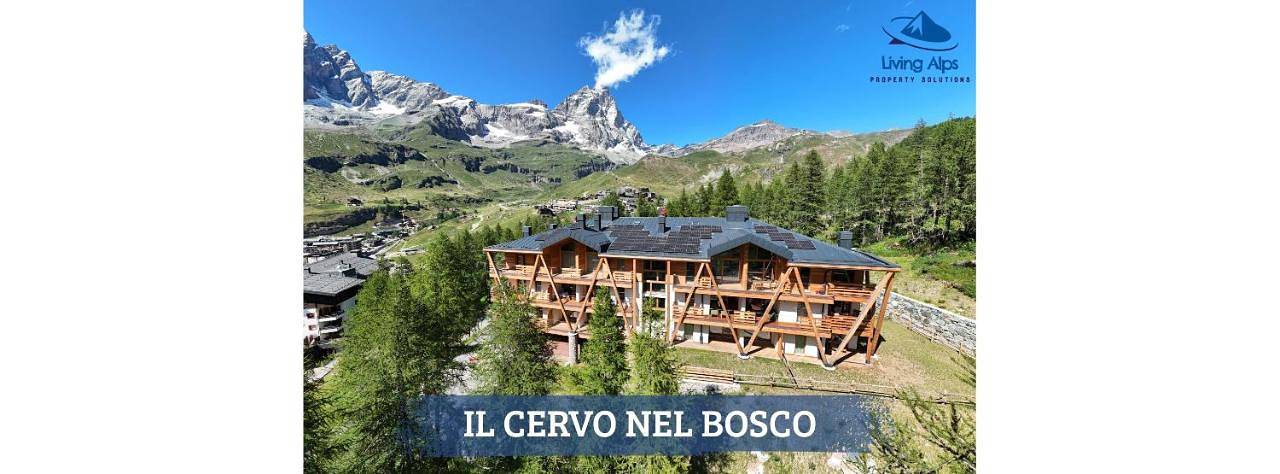Ferielejlighed for 5 personer, med udsigt og have i Cervinia