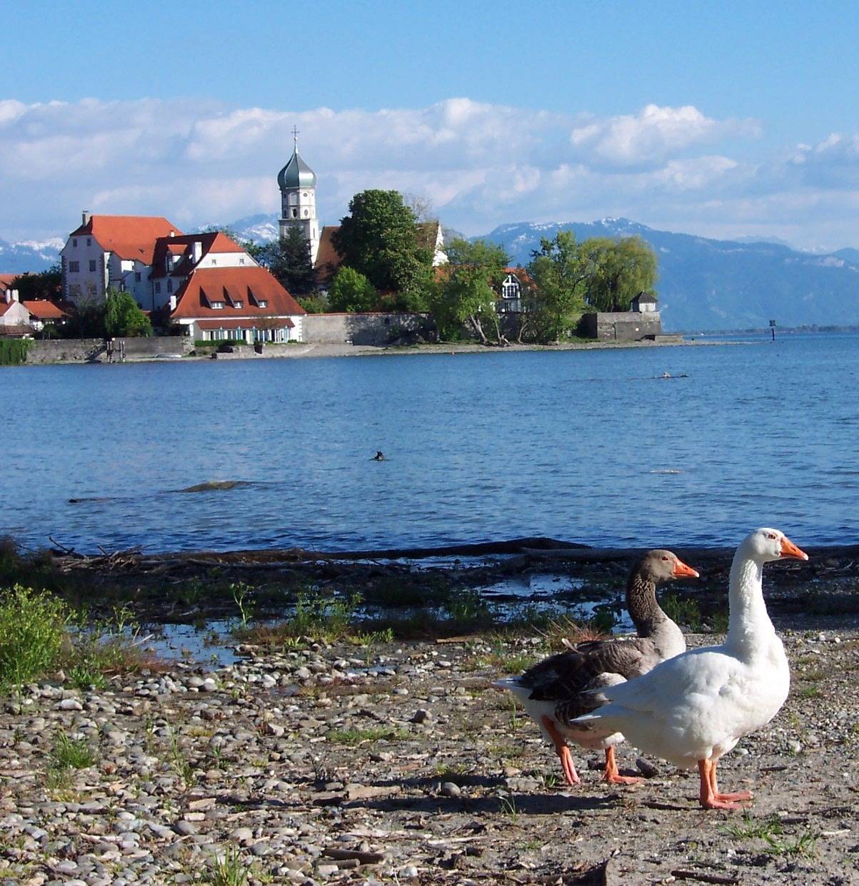 Ganze Ferienwohnung, Haus Möslang - Ferienwohnung 1, 110qm, 4 Schlafzimmer, max. 7 Personen in Wasserburg (Bodensee), Bayerisch Schwaben