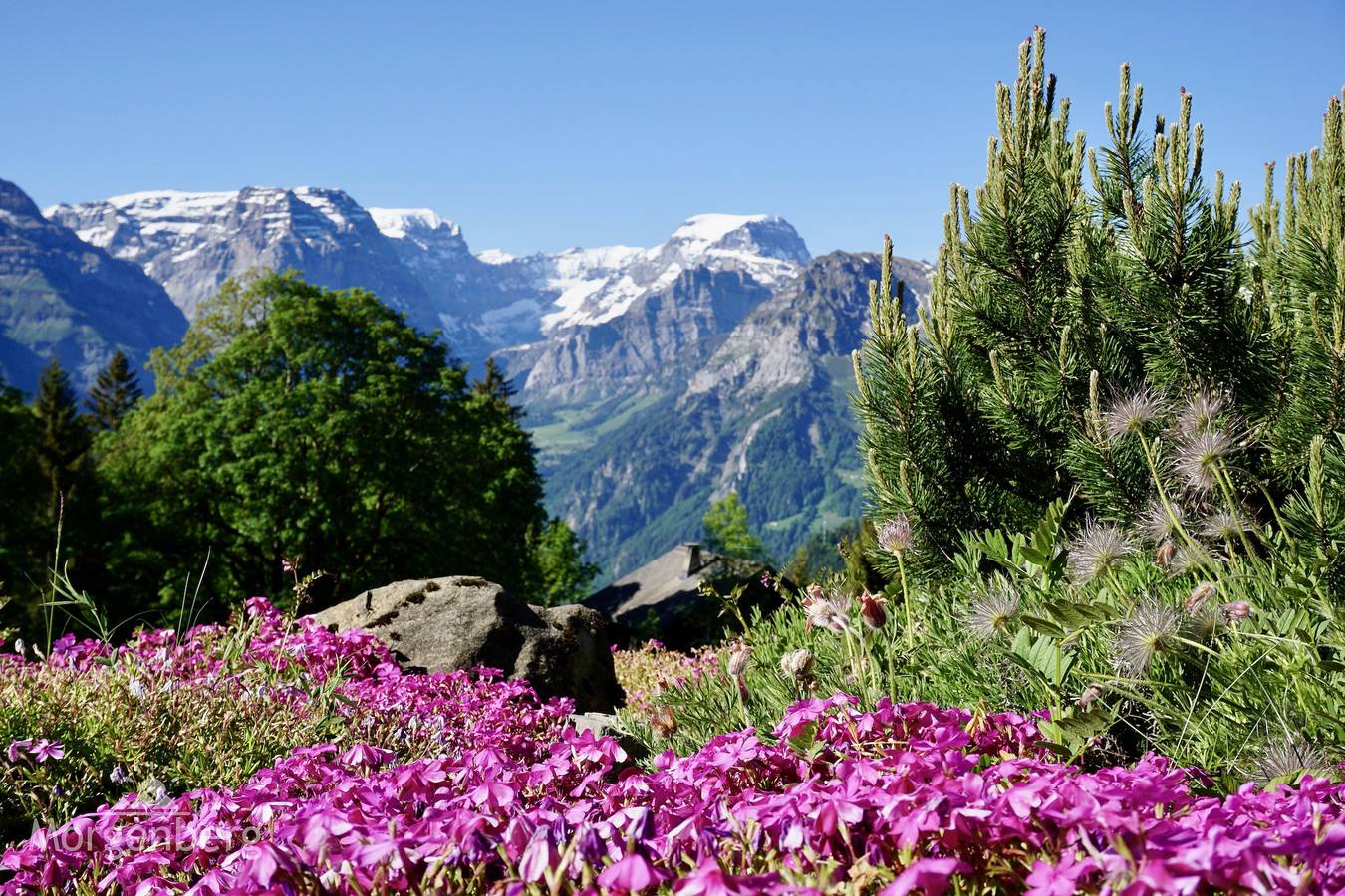 Ganze Ferienwohnung, Chalet Morgenberg Nr. 111 - 8-Zimmer Ferienhaus in Glarus Süd, Kanton Glarus