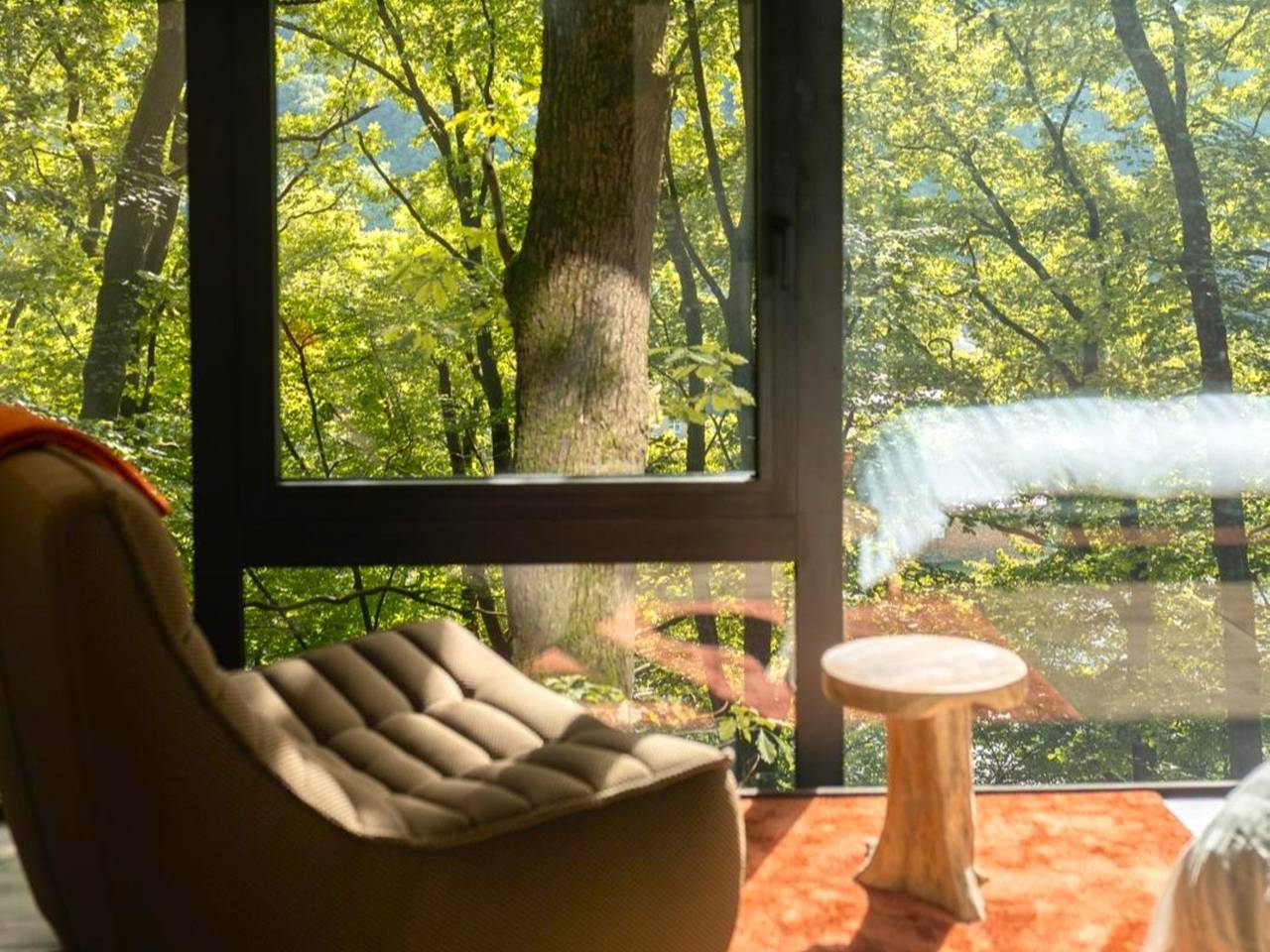 Een boomhut in het hart van La Roche
 in La Roche-en-Ardenne, Provincie Luxemburg