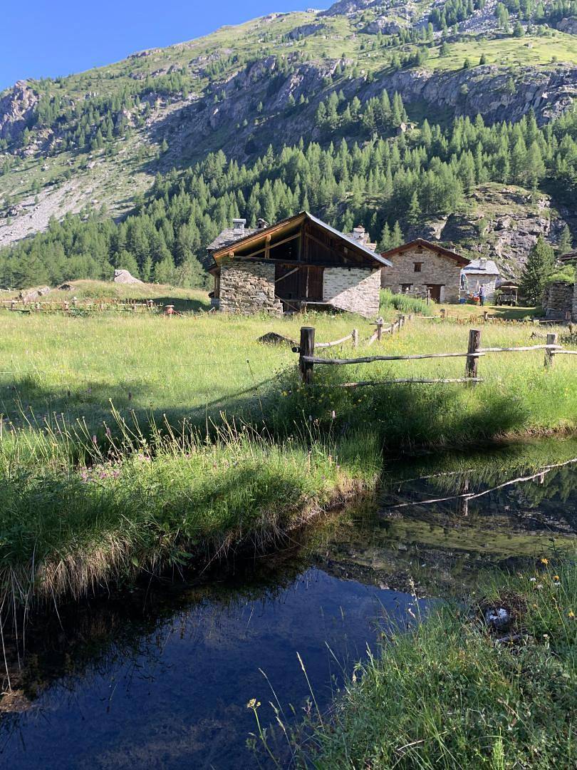Le Monal in Sainte-Foy-Tarentaise, Massif du Ruitor