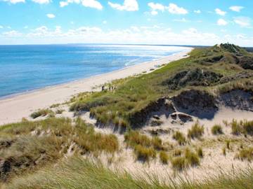 Ferieudlejning til 4 Personer i Lodskovvad, Aalbæk, Billede 2