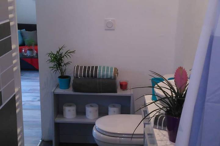 Gîte pour 3 personnes, avec terrasse et jardin à Nieul-sur-Mer - 3