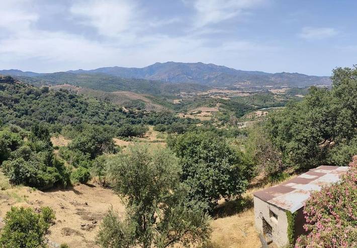 Gîte pour 2 personnes, avec Vue sur le lac et Vue à Olmeta-di-Tuda