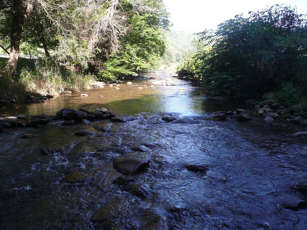 Cottage for 6 Guests in Blue Ridge Mountains, North Carolina