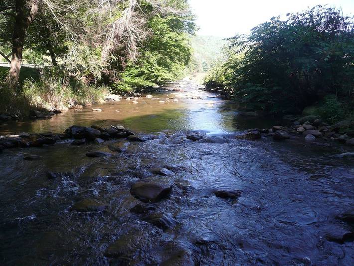 Chalet for 6 people, with balcony and yard as well as hot tub in North Carolina