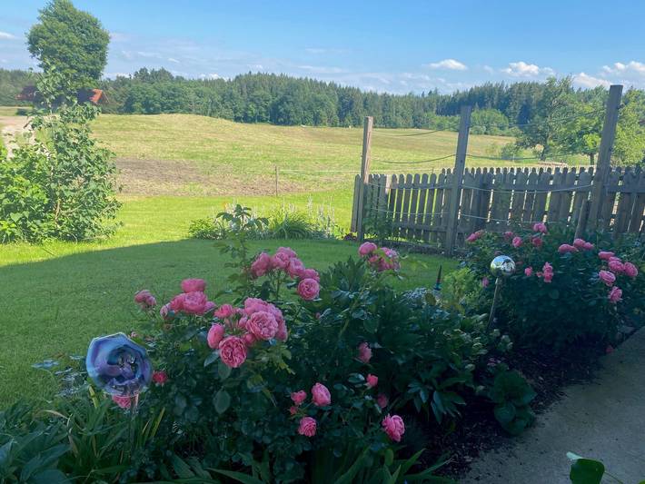 Bauernhaus für 6 Personen, mit Balkon, kinderfreundlich am Chiemsee - 4