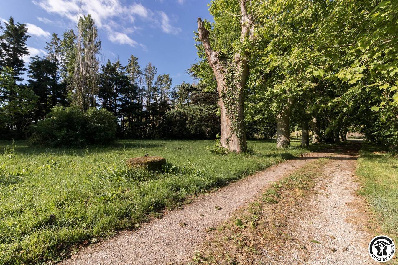 En Fique in Saint-Julia, Lauragais