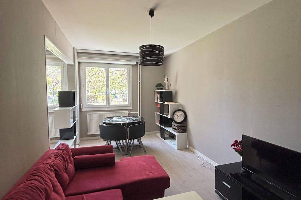 Entire apartment, Quiet T1 near the center in Clermont-Ferrand, Volcans d'Auvergne Regional Nature Park