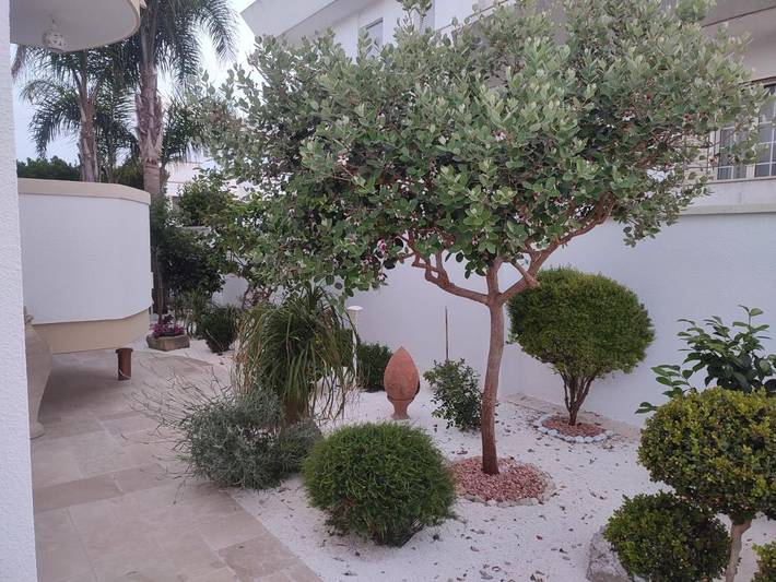 B&b per 4 persone, con giardino, con animali domestici a Castro (Lecce)