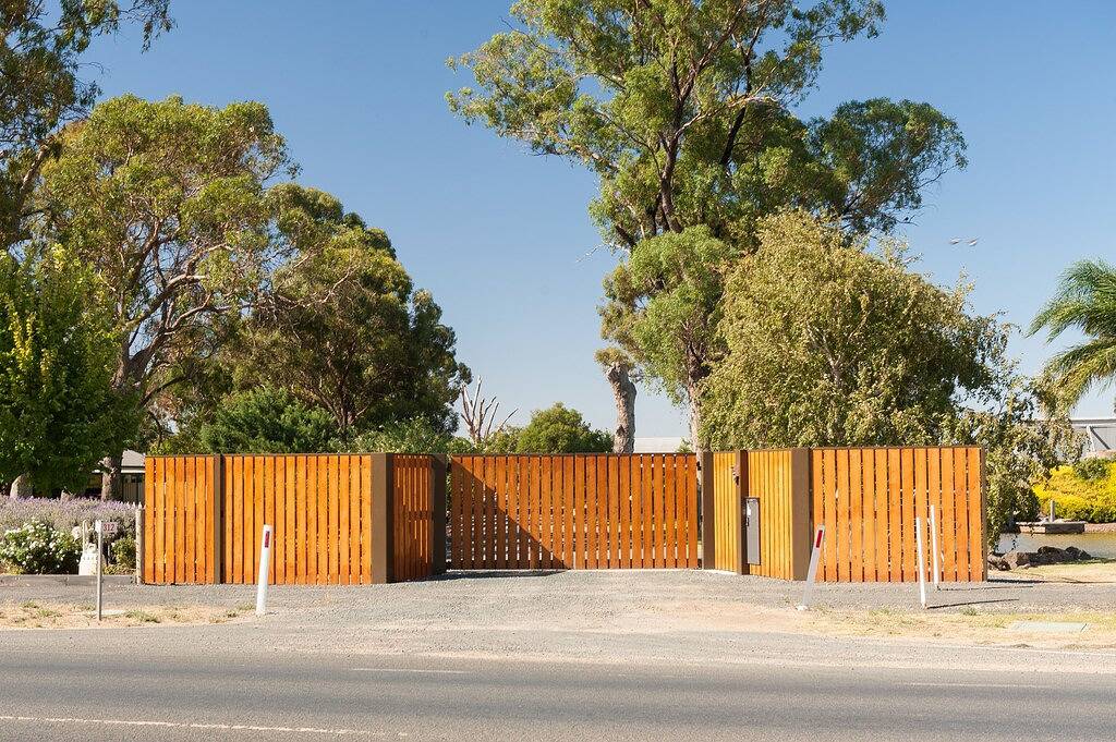 Gut Nepeta Cataria - in Moama, New South Wales